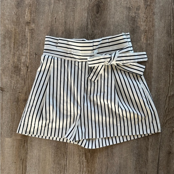 Zara Pants - Zara High Waisted Paperbag Tie Waist Striped Shorts